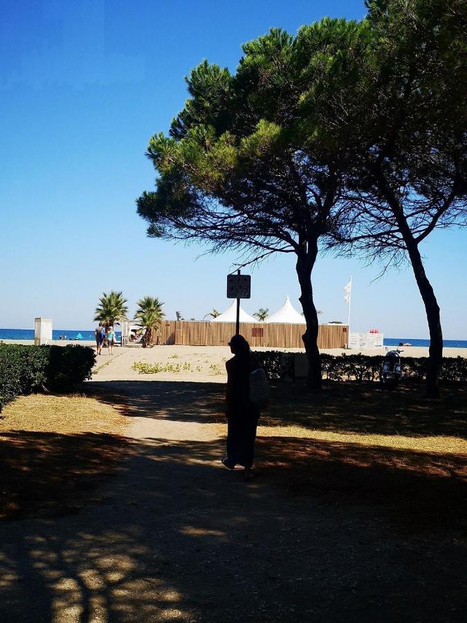 Charmant T2 Terrasse, Bord De Mer Argelès-sur-Mer Dış mekan fotoğraf